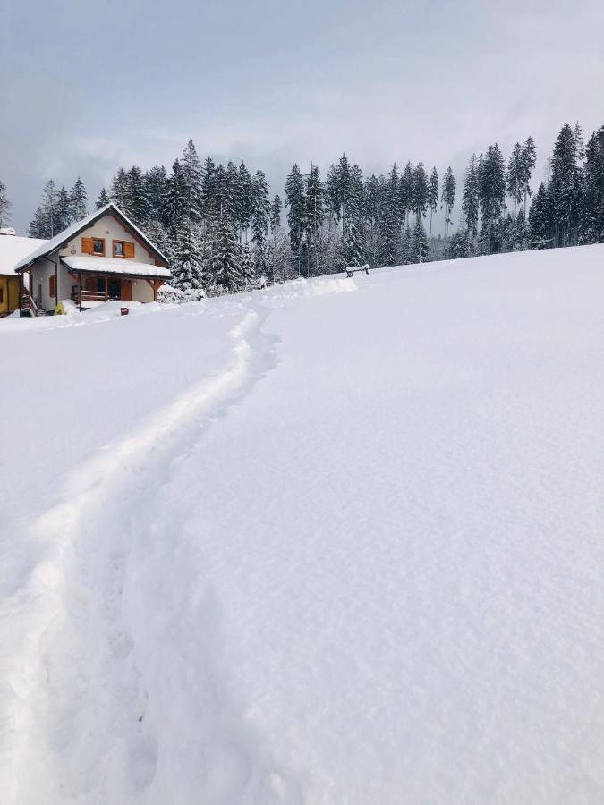 Vila Domek W Gorach Jaworzynka Exteriér fotografie
